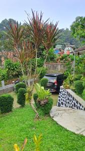 a black truck parked in a yard with plants at Roemah Sakinah in Ciguntur