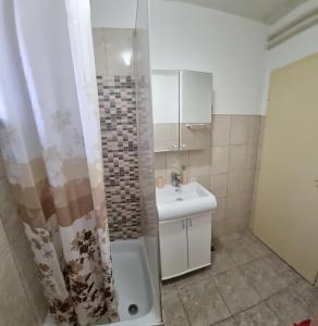 een badkamer met een wastafel en een douche bij Apartman 13 in Petrovaradin
