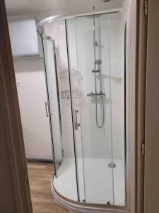 a shower with a glass door in a bathroom at Appartement calme et chaleureux in Tours