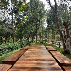 a wooden pathway through a park with trees at Bastar Greens in Jagdalpur