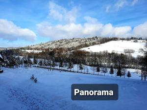 a snowy field with trees and a mountain at Osada Modrzewiowe Wzgórze -Bieszczady, Wańkowa in Ustrzyki Dolne