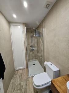 ein Badezimmer mit einem weißen WC und einer Dusche in der Unterkunft Casita con encanto in Collanzo