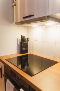 a kitchen with a counter with a stove top oven at Apartment Innenstadt- Zentral und Exklusiv in Bestlage, Stilvolles Ambiente, alles zu Fuß erkunden in Braunschweig