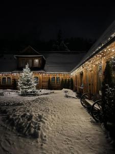 ポロニンにあるApartamenty Góralski DACH NAD GŁOWĄの灯りの家の前のクリスマスツリー