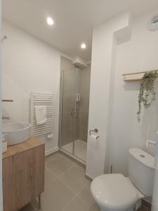 een badkamer met een toilet, een wastafel en een douche bij chez Clem in Calais
