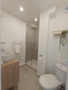 a bathroom with a toilet and a sink and a shower at chez Clem in Calais
