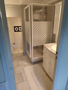 a bathroom with a shower and a toilet and a sink at maison d'hôtes prince face au château du clos Luce in Amboise