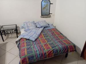 La Saulceにあるstudio du jardinのベッド(カラフルな毛布、枕付)
