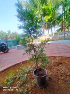 KumtaにあるOm home stayのギャラリーの写真 +5枚の写真