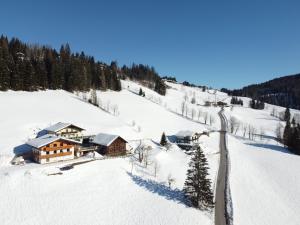 una vista aérea de una casa en la nieve en Klammgut en Wagrain