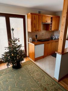a kitchen with a christmas tree in a room at Domek Letniskowy in Zubrzyca Dolna