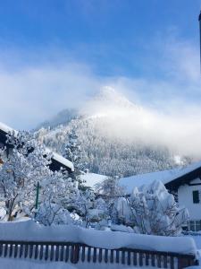 een uitzicht op een met sneeuw bedekte berg met bomen bij Ferienwohnung Alpensymphonie mit 110 m2 und sonnigem Balkon in Burgberg