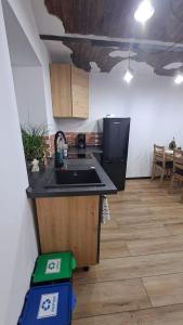 a kitchen with a sink and a counter top at Wiejsko-Sielsko in Szczytna