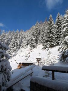 a snowy forest of trees with snow covered trees at ALMNEST - LACHTAL in Lachtal