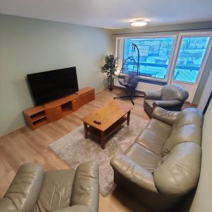 a living room with a leather couch and a television at GREEN in Närpiö