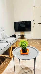 a living room with a table with a potted plant at STYLISH 1Bhk HEART OF THE CITY in Edinburgh