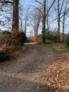 Ein Garten an der Unterkunft The Little House of Spa