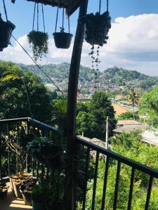 a balcony with plants and a view of a city at Sky home stay in Kandy