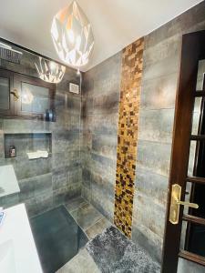 ein Bad mit einer Dusche und einer Glastür in der Unterkunft Maison de Celya in Saint-Georges-dʼOrques