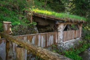 drewniany most z trawą na zboczu wzgórza w obiekcie Chalupa pri potoku w Zuberzcu