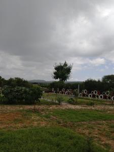 ein Feld mit einer großen Skulptur im Hintergrund in der Unterkunft Shelta Village View Resort in Mbuguni