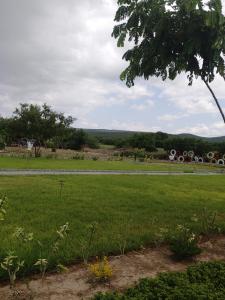 a field of grass with a road in the distance at Shelta Village View Resort in Mbuguni