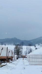 Το Glamping Iurte Mongole Spiritul Zimbrului τον χειμώνα