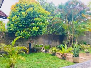 Φωτογραφία από το άλμπουμ του Family Villa Mirissa σε Mirissa