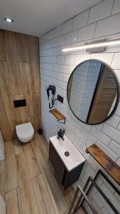 a bathroom with a toilet and a mirror at Wiejsko-Sielsko in Szczytna +24 photos