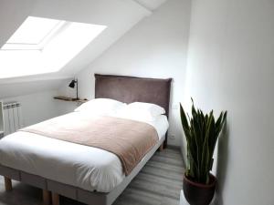 Un dormitorio con una cama y una planta. en Dupplex, centre ville, en Blois
