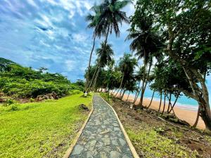 a road leading to a beach with palm trees at Domus Praia Jalé in Água-Côco
