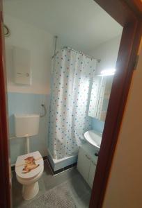 a bathroom with a toilet and a shower curtain at CrisAnd 4 Brockenblick in Altenau +19 photos