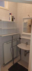 a bathroom with a sink and a mirror at Villa SCS Nähe in Wiener Neudorf