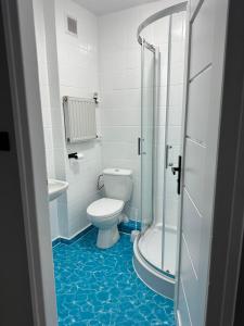 a bathroom with a toilet and a shower at Poręba in Karpacz