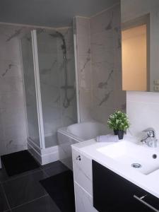 ein Badezimmer mit einem Waschbecken, einer Dusche und einer Badewanne in der Unterkunft Appart design au cœur de Belfort in Belfort