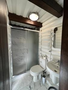 ein Bad mit einem WC und einem Waschbecken in der Unterkunft Holiday home shale in Bukowel