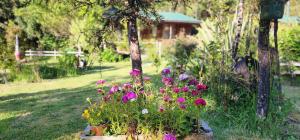 un jardín con flores de colores en un patio en Entre Esteros Hornopiren en Hornopiren