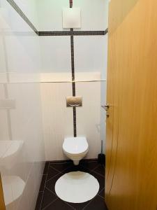 a bathroom with a white toilet in a room at Appartement in Uttendorf