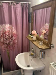 uma casa de banho com um lavatório e uma cortina de chuveiro rosa em Xenonas Drimos em Karpenision