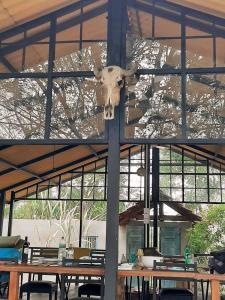 a cow head hanging from the ceiling of a tent at Elephant Lodge in Udawalawe