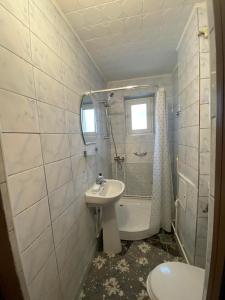 een badkamer met een wastafel en een toilet bij Apartament Borsec in Borsec