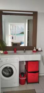 a bathroom with a sink and a washing machine at Studio avec GRANDE PISCINE, PLAGE Vanille Caraïbes in Saint-François