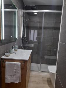a bathroom with a shower and a sink and a toilet at KAIOA .Incluye parking privado. in Hondarribia
