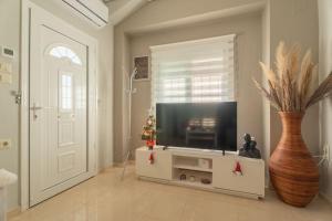 a living room with a flat screen tv and a vase at Elvira's houses in Agria