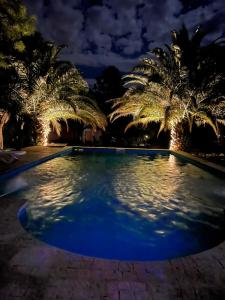 una piscina con palmeras por la noche en La carolina en Villa Las Rosas