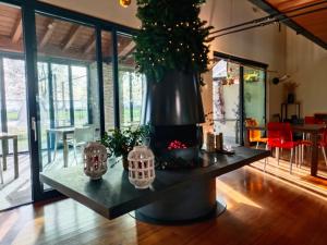 un jarrón negro grande con una planta en una habitación en Agriturismo Corte Carnevale, en Marmirolo