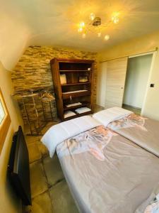 1 dormitorio con 1 cama grande en una habitación en La Chaumière des 2 Cygnes, en Abbeville