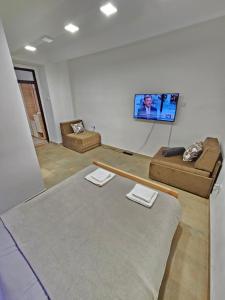 a living room with a couch and a flat screen tv at Booking Apartments Alone 2 in Zemun