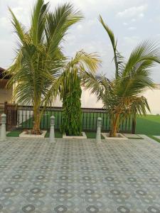 two palm trees in front of a fence at alshahad chalet in Bārsit