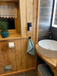 a bathroom with a sink and a mirror at Domek Wałacha in Istebna